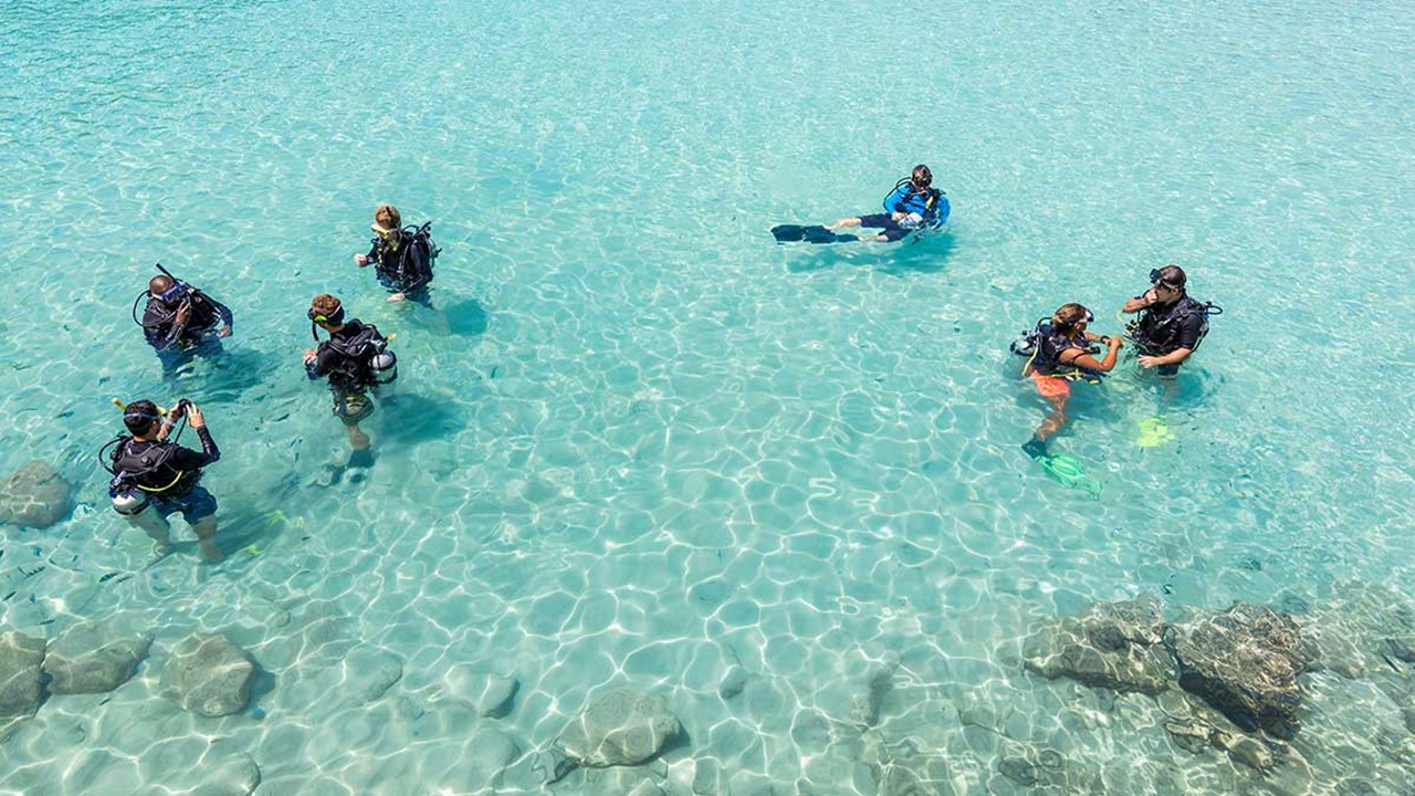 Diving