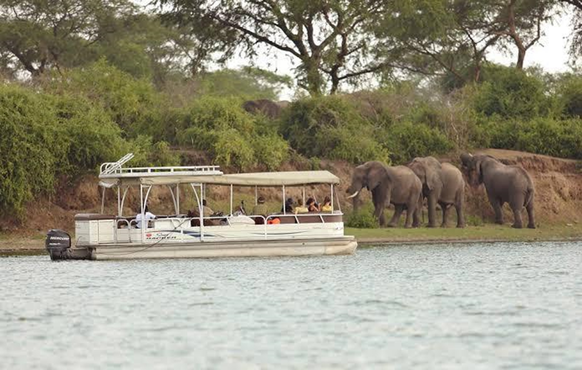 Queen Elizabeth National Park