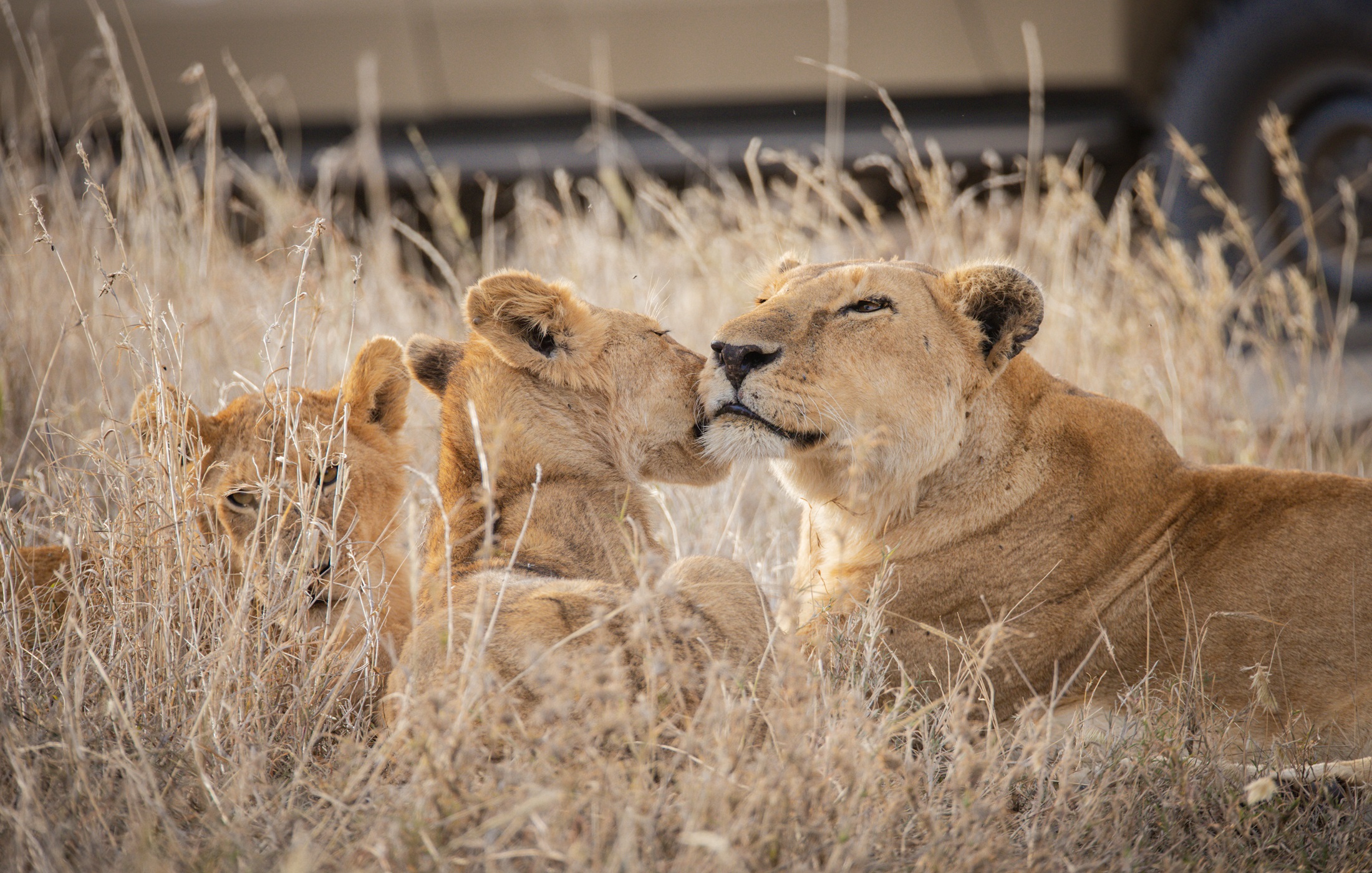 Southern Tanzania